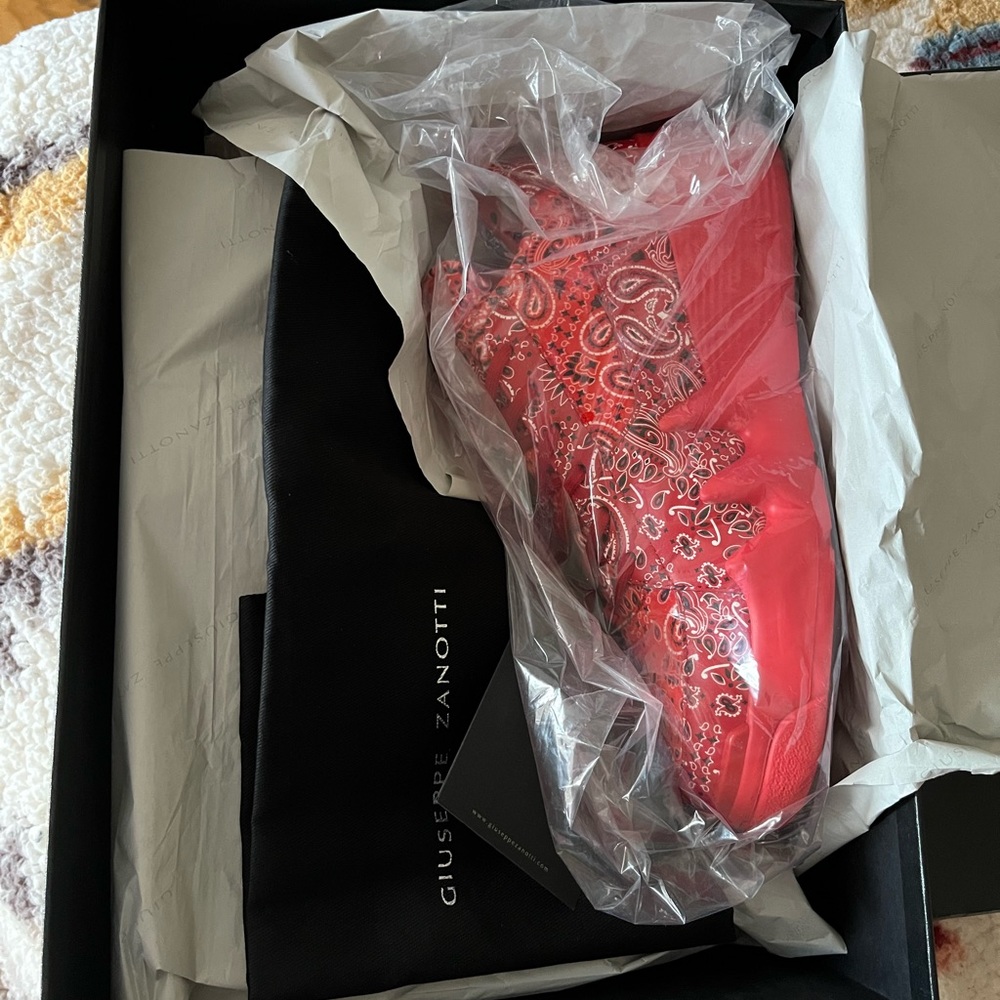 Giuseppe Zanotti